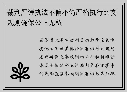 裁判严谨执法不偏不倚严格执行比赛规则确保公正无私